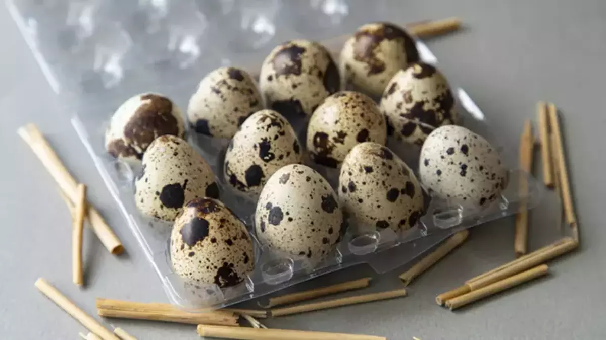 61f7f4cbed13441560dfd9d5