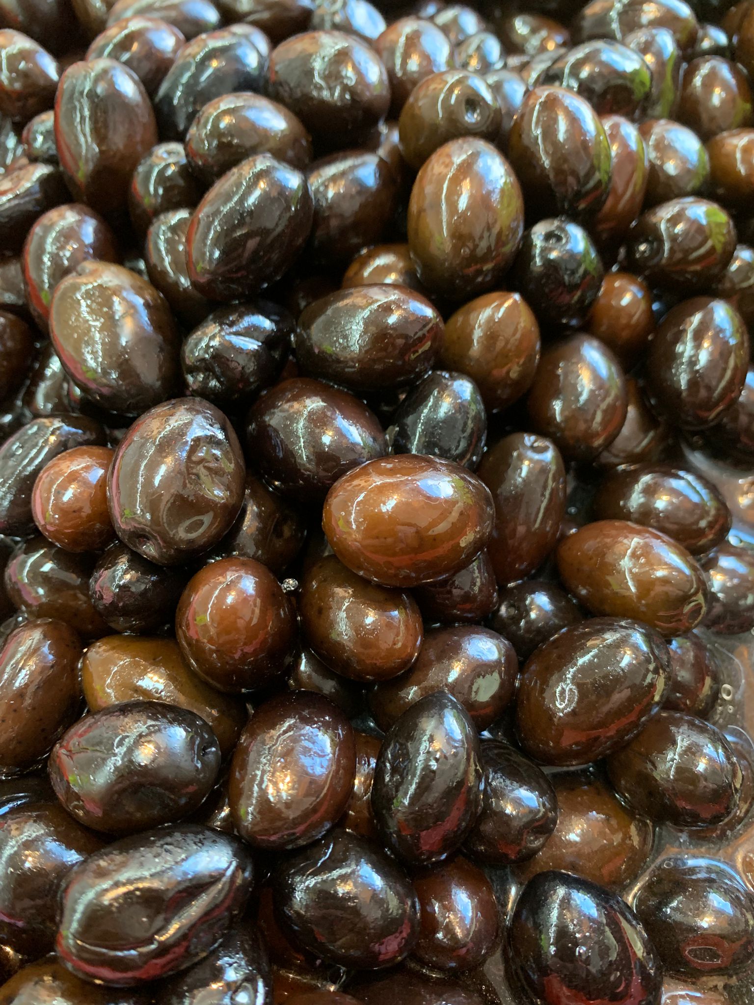 WhatsApp Image 2025-02-06 at 23.59.00 (1)