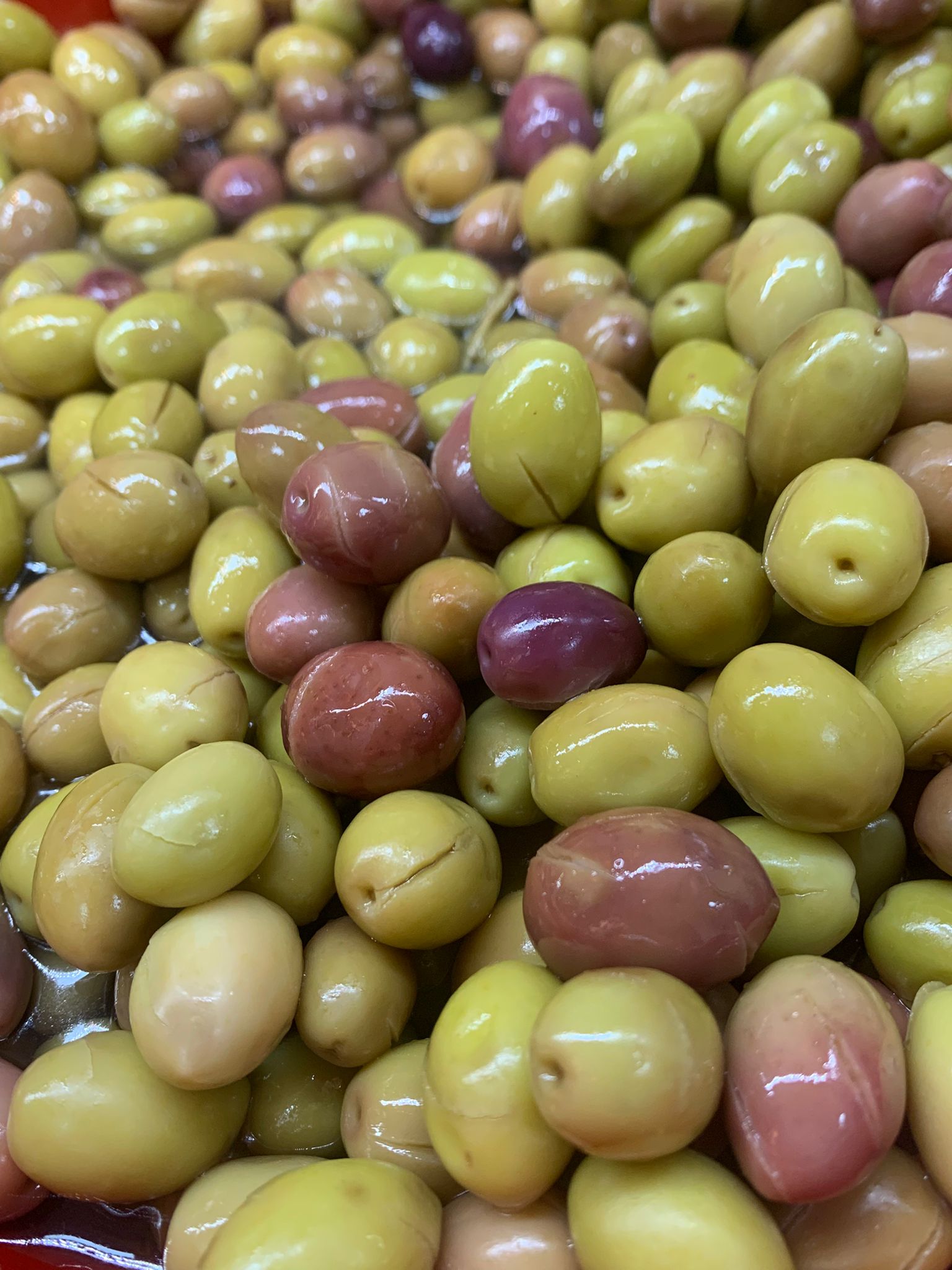 WhatsApp Image 2025-02-06 at 23.59.03