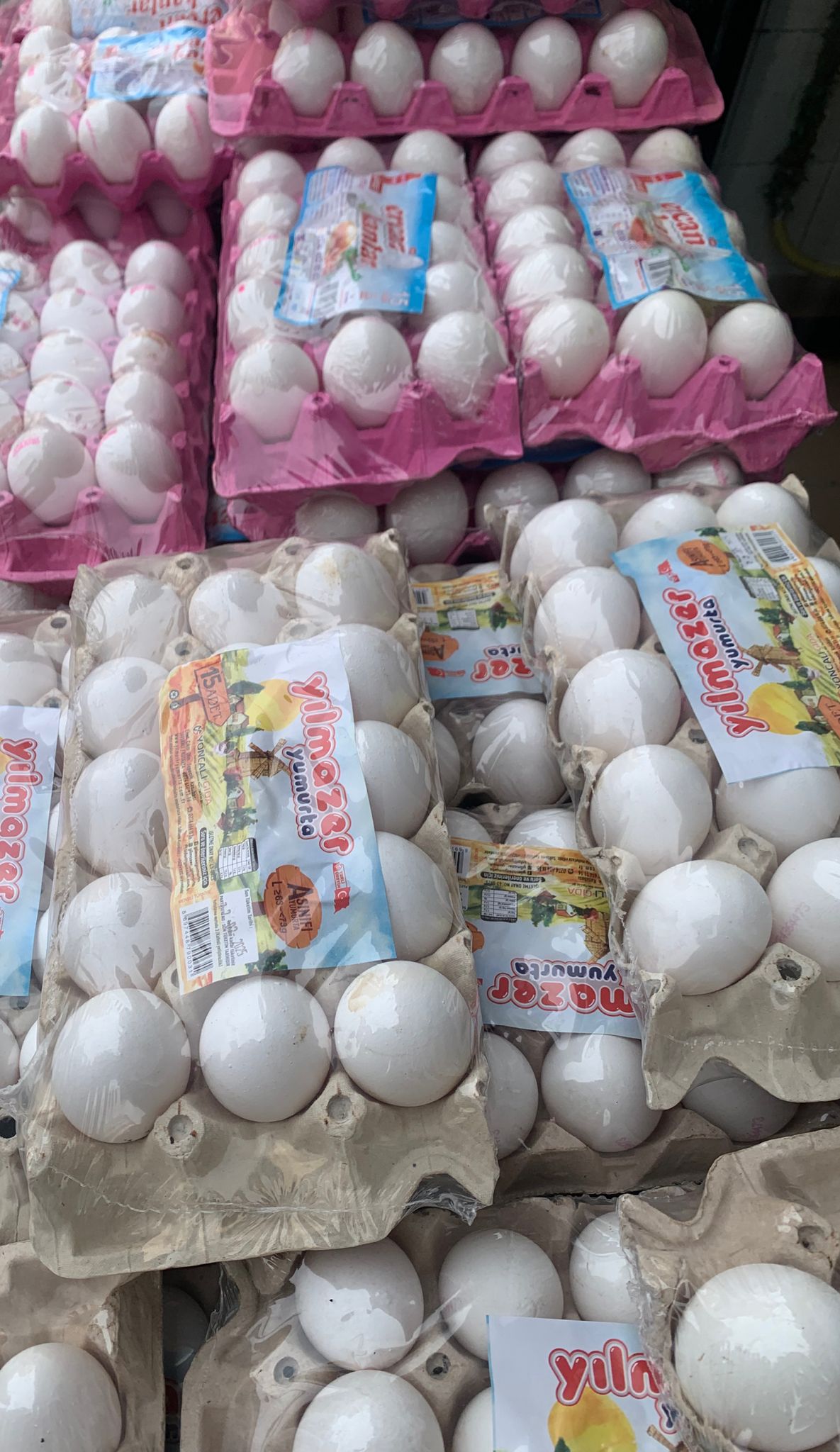 WhatsApp Image 2025-02-08 at 23.52.15